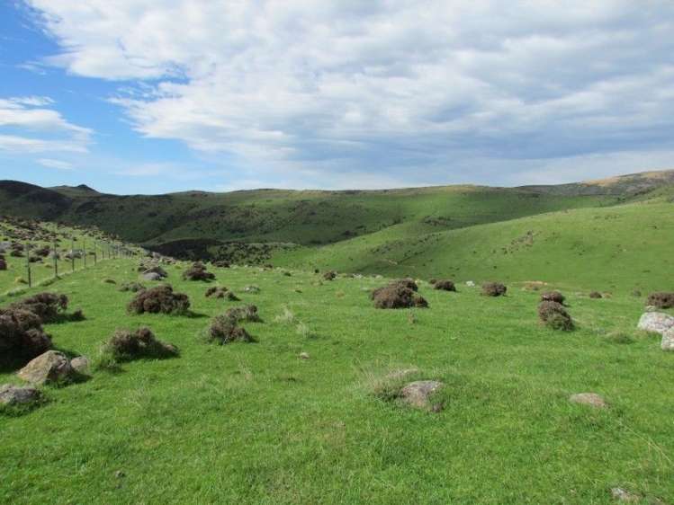 1477 Waimea Valley Road Gore Surrounds_20