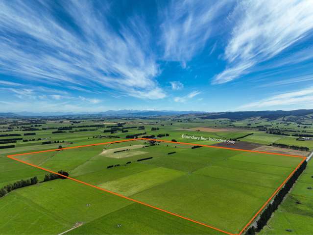 Quality Farm, Golden Opportunity