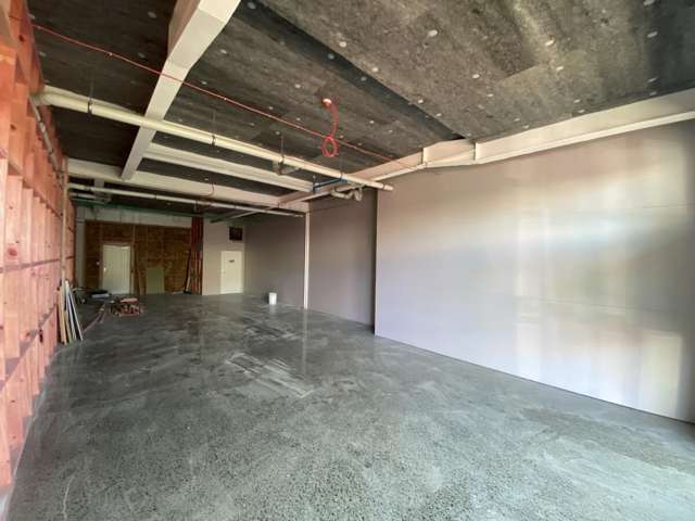 124 Commerce Street Frankton_1