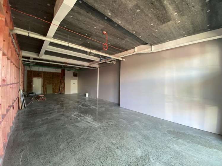 124 Commerce Street Frankton_1