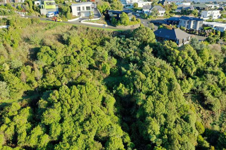 3 Law Lane Mount Pleasant_9