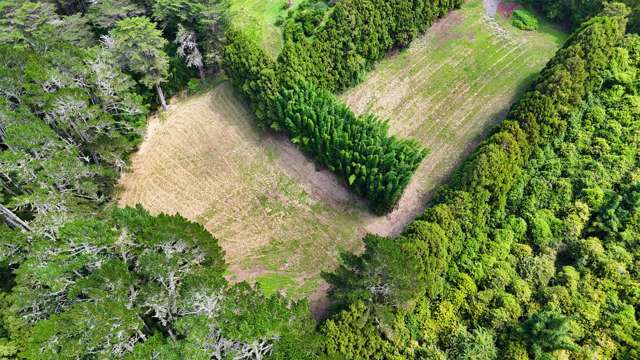 34 Cottle Hill Drive Kerikeri_3