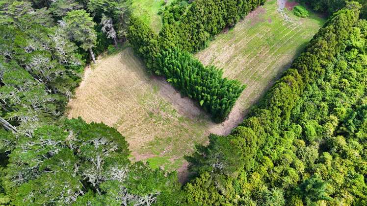 34 Cottle Hill Drive Kerikeri_3