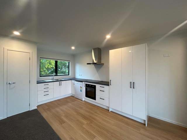 26a (rear) Romilly Street 10113_2