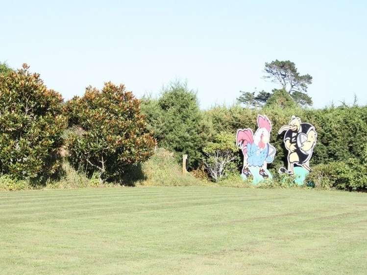 1355 Mountain Road Inglewood_43