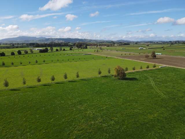 105 Chamberlain Road Te Awamutu_1