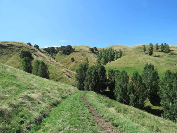 754 Puketitiri Road Puketapu_23