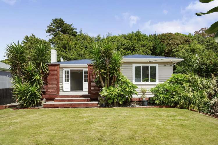 42 Bledisloe Crescent_0