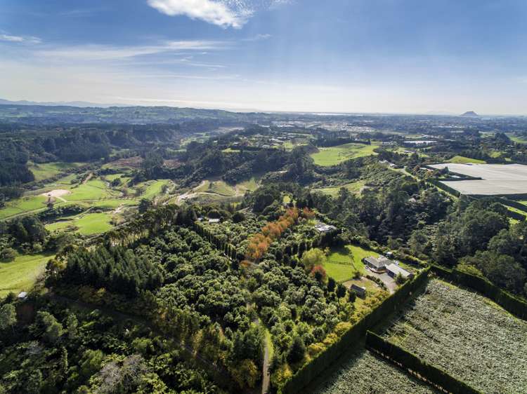 89c Merrick Road Pyes Pa_1