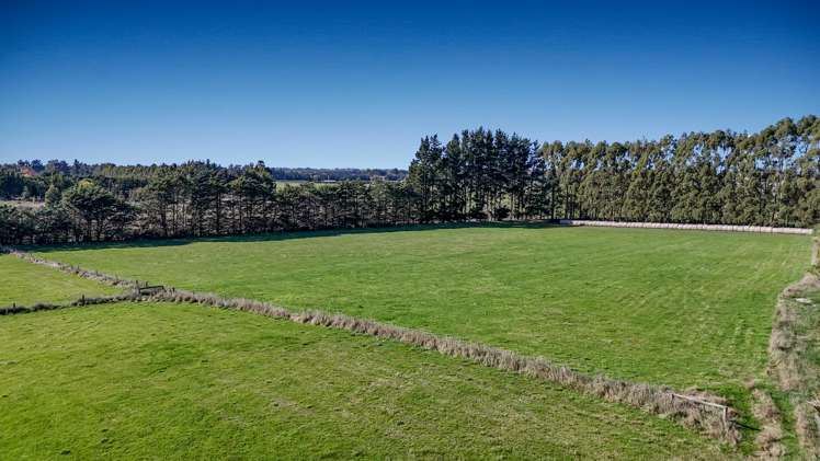 224 Marshmans Road Ashley_7