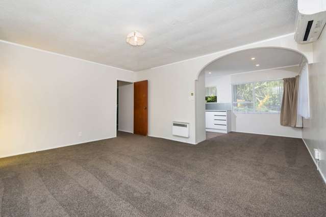 5b Newstead Avenue Browns Bay_4