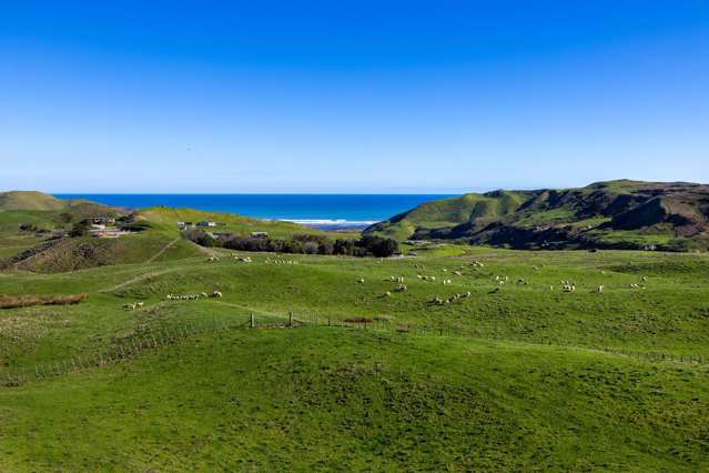 767 Te Akau Coast Road Te Akau_3