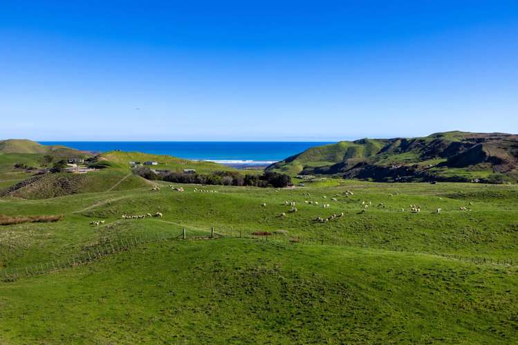 767 Te Akau Coast Road Te Akau_3
