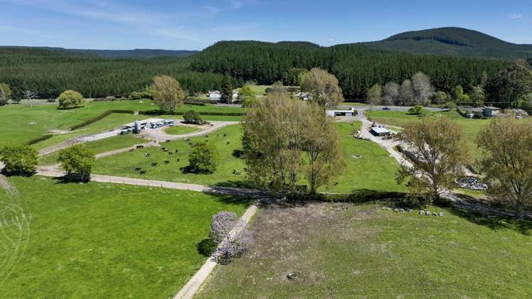 441 State Highway 38 Rerewhakaaitu_18