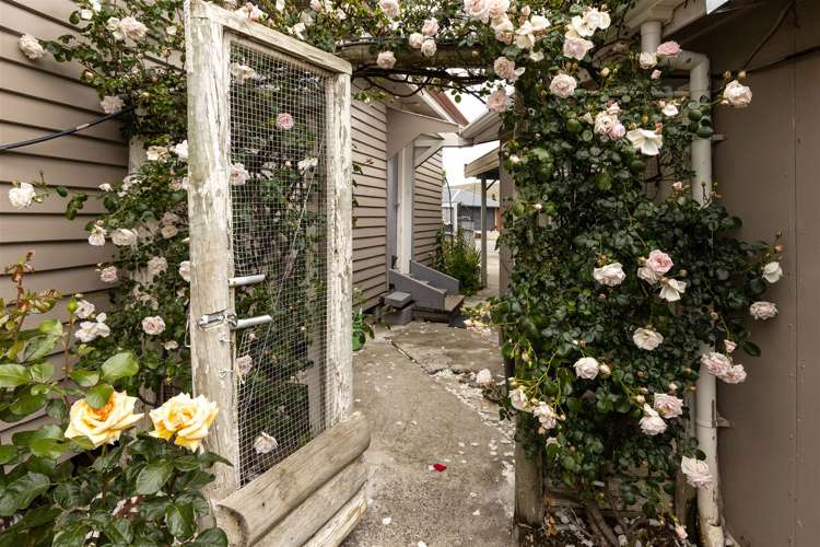 196 Maxwell Road Redwoodtown_18