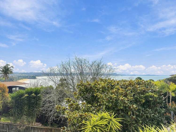 32A Duncansby Road Stanmore Bay_19