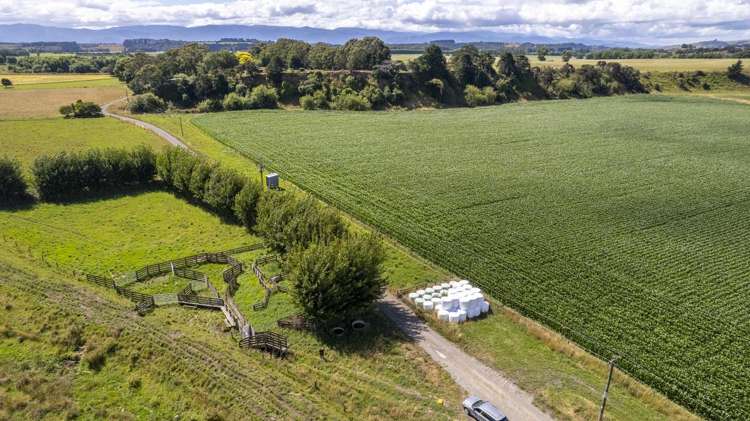 167 Ponatahi Road Martinborough_18