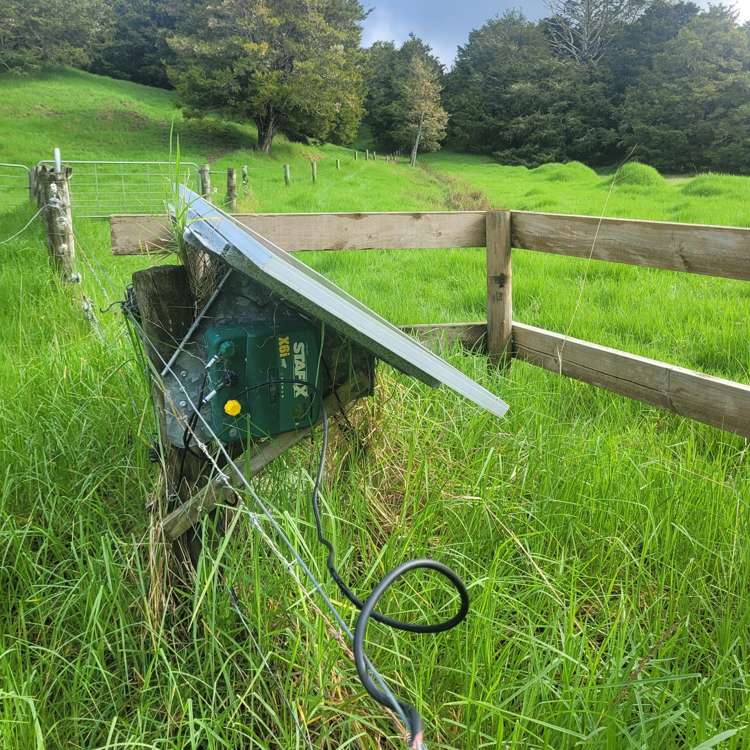 Ounuwhao Road Dargaville Surrounds_9