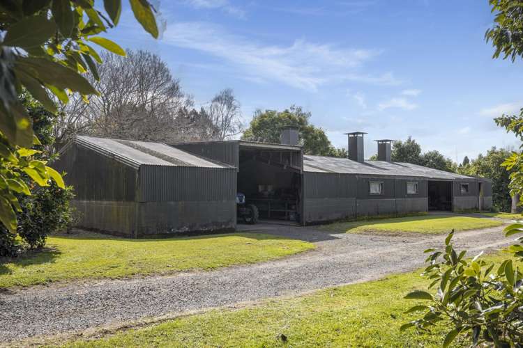 44 Walker Road West Katikati_5