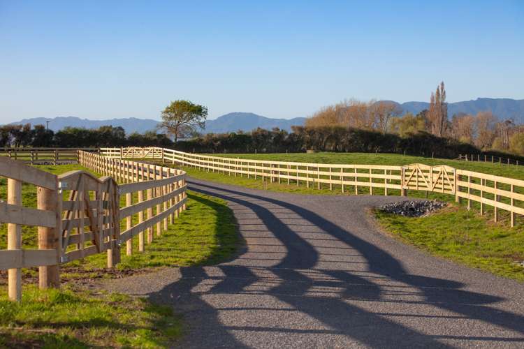 48 Country Lane Matamata_3