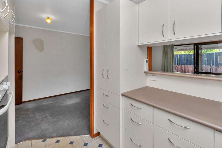 15 Selwyn Avenue Avenues_12