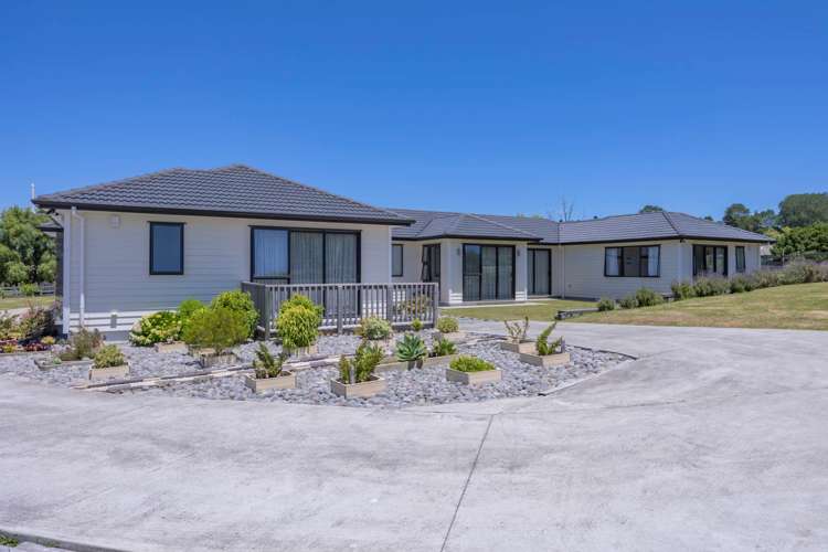 134 Postman Road Dairy Flat_8