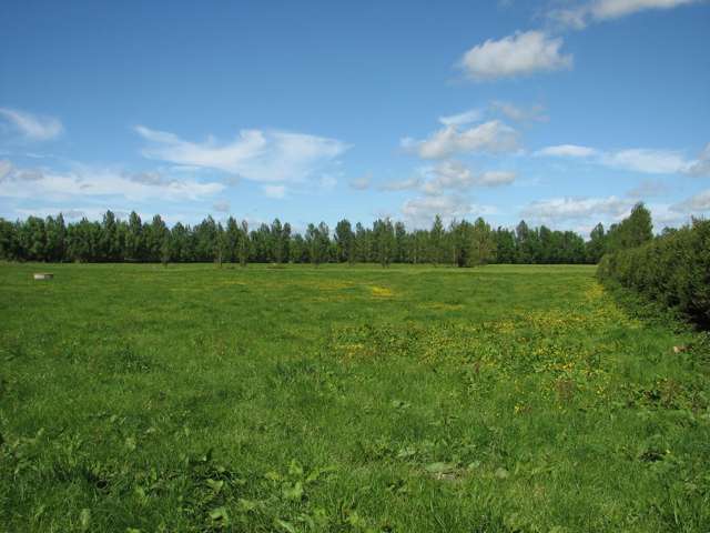 1682B Te Aroha-Gordon Road Te Aroha_3