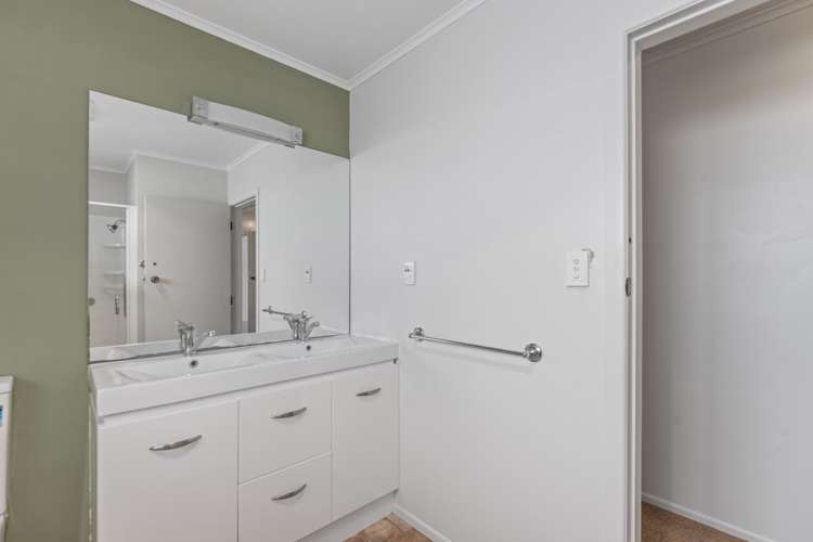 344 Palmer Mill Road Wairakei_9