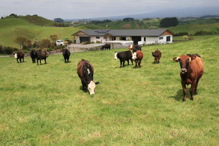 892 Tarata Road Kaimata_0