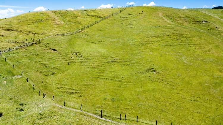 698 Wainui Road Wainui_21