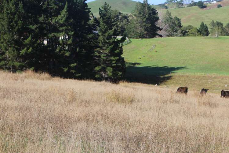 Kerr Road Parua Bay_8