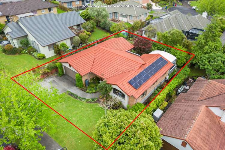 6 Clemows Lane Albany_16