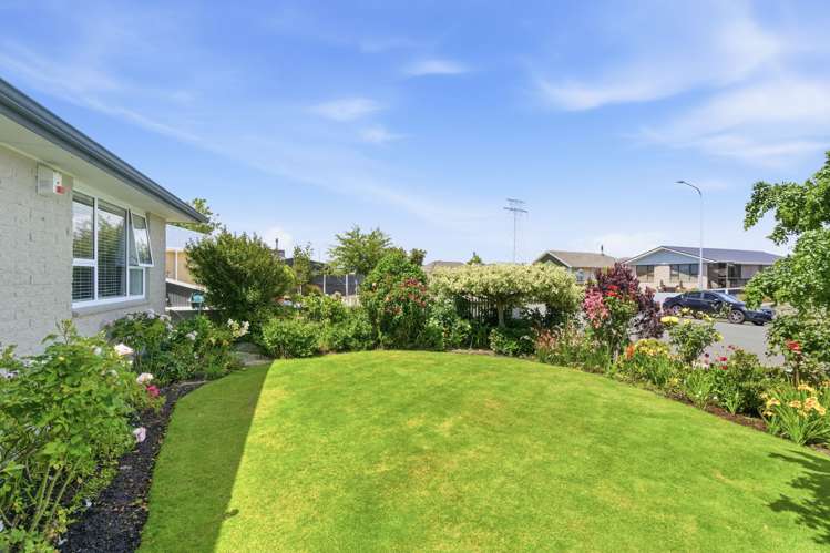 40 Boston Avenue Hornby_24