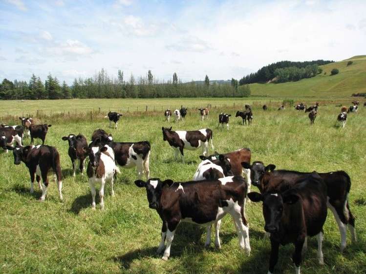 1259 Lakeside Road Milton_6