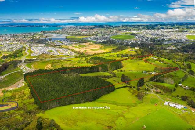 55 Russell Road Wainui_4