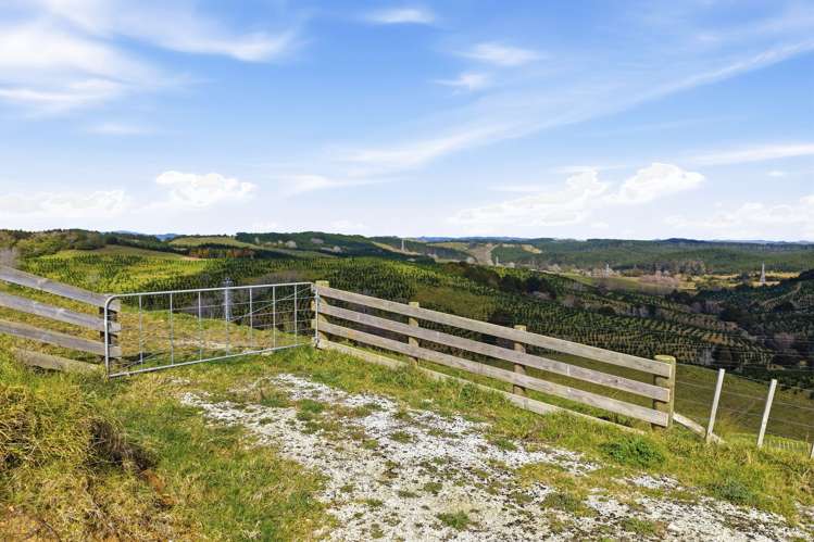 Lot 6 & 7 Otioro Road Topuni_14