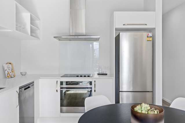 19 Mount Nicholas Avenue Wanaka_3