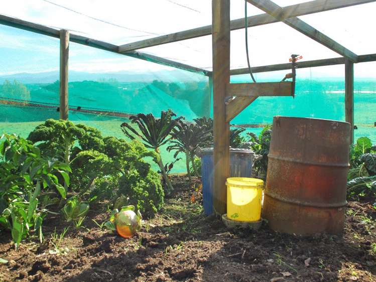 373 Lees Pakaraka Road Te Whiti_22