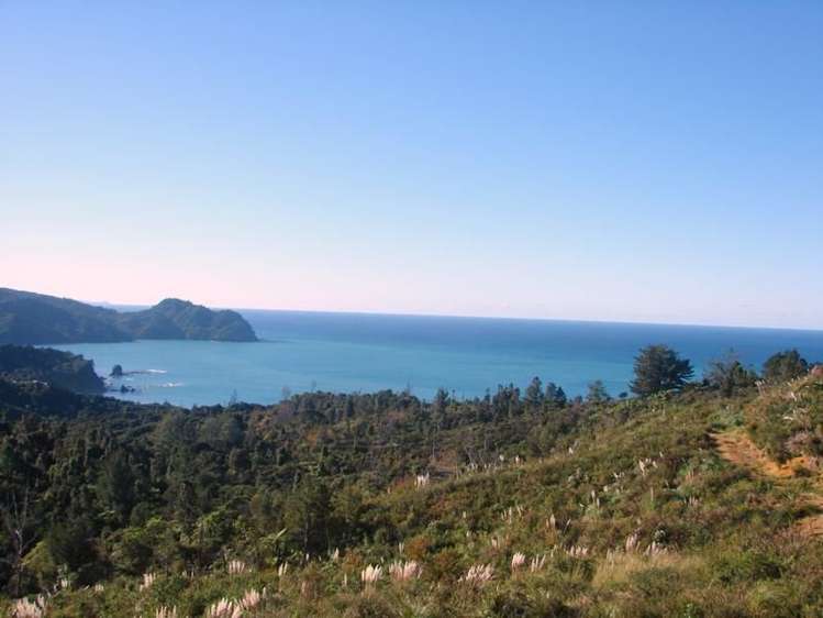 31 Pumpkin Hill Road Pumpkin Hill_9