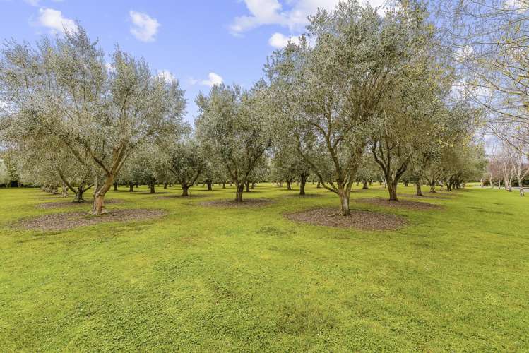 134 Te Waka Road Te Horo_2