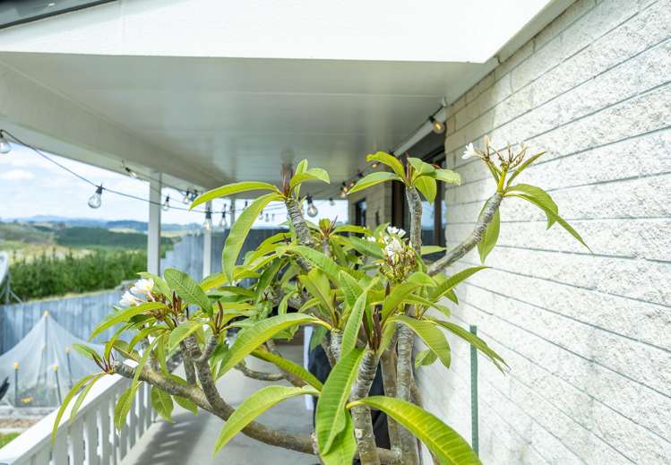 320 Babylon Coast Road Parore_6