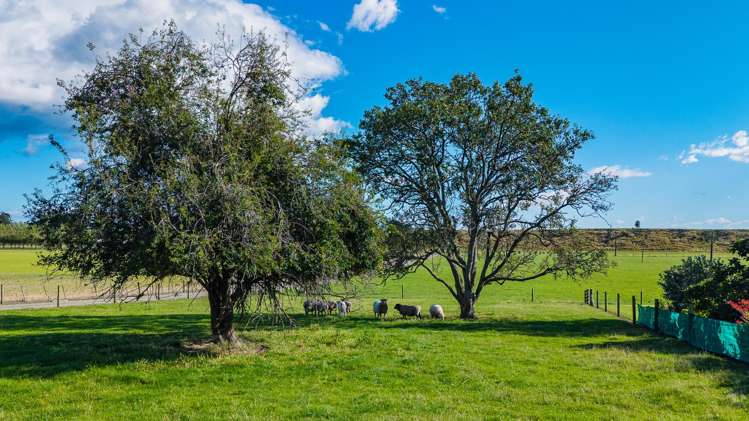 357 Hook School Road Makikihi_26