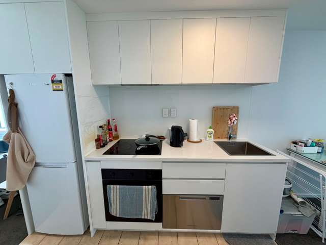 15M/3 Whitaker Place Auckland Central_2