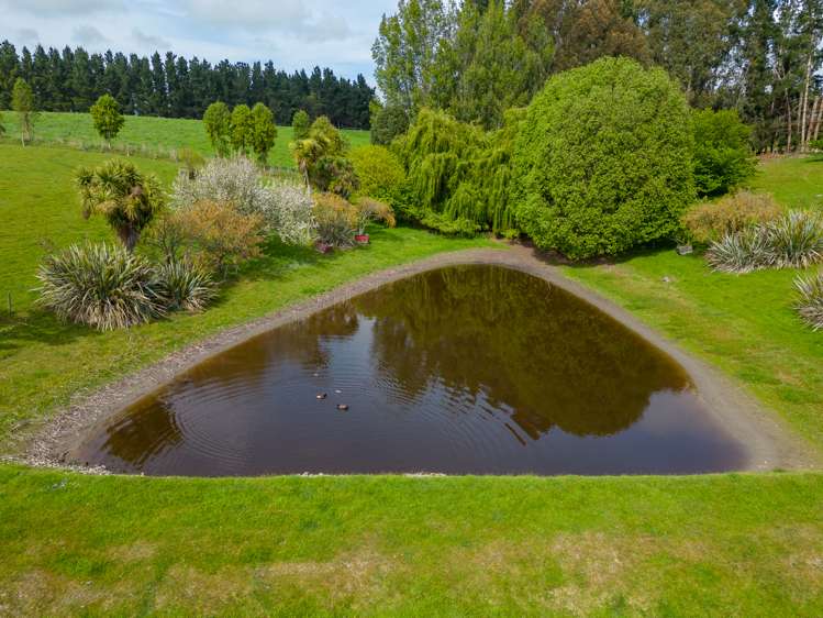 277 Hook School Road Makikihi_23