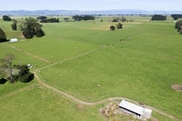 335a Couper Road Glen Oroua_4