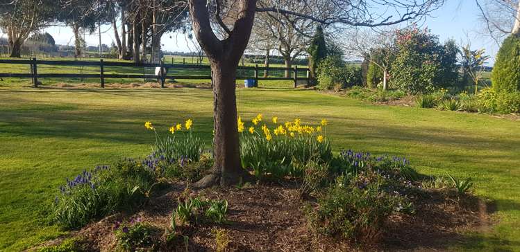 205 Barton Road Fairview_5