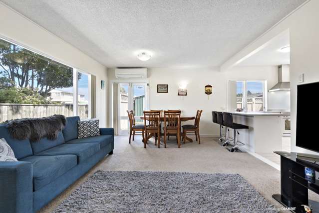 28a Aparima Avenue Miramar_1