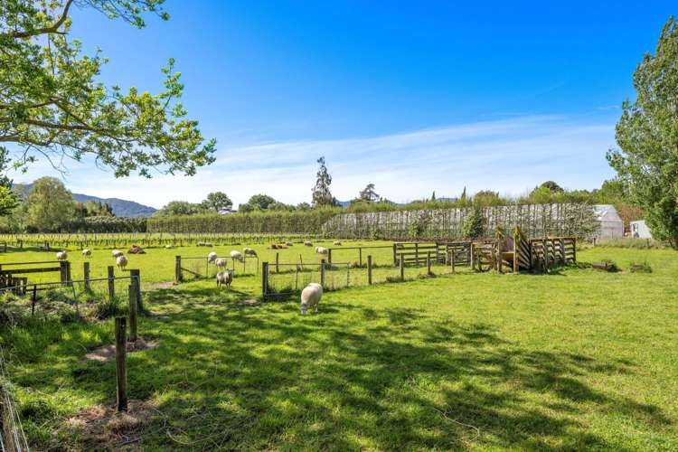 158 Murrays Road Rapaura_27