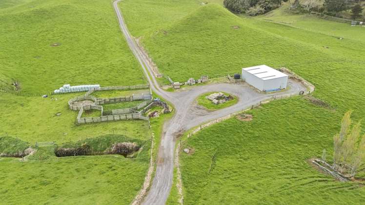 794 Tariki Road Ratapiko_6