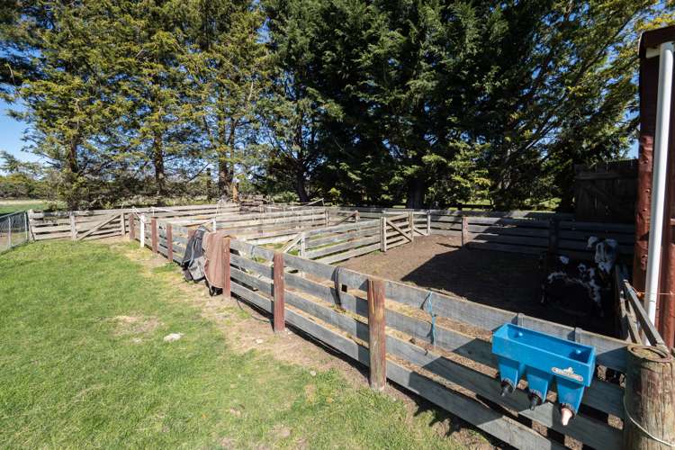 24 Gordons Road Netherby_17